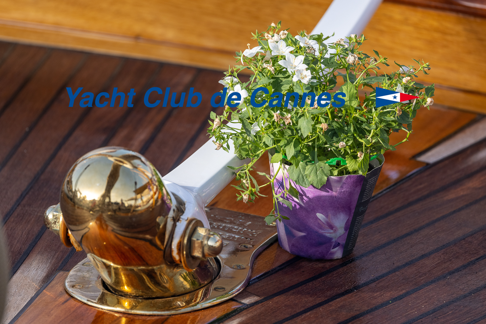 Régates Royales 2021