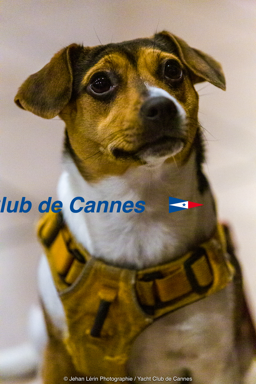 Voeux du President_YCC_JL_5D3_15 01 2020-0031.jpg