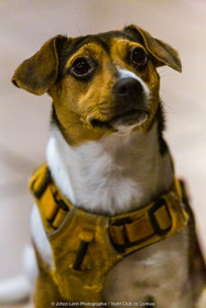 Voeux du President_YCC_JL_5D3_15 01 2020-0031.jpg