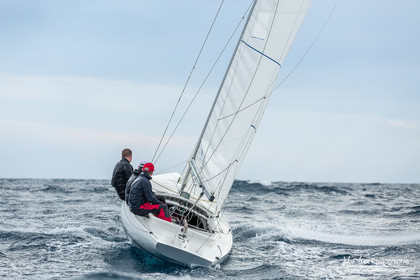 Armistice Cup Dragon 2022