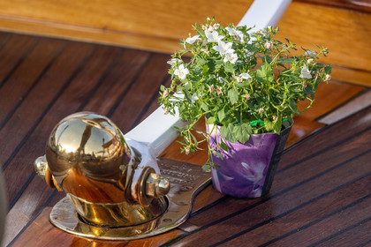 Régates Royales 2021