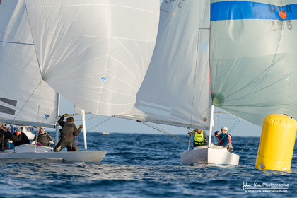 Armistice Cup Dragon 2022