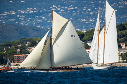 Régates Royales 2020