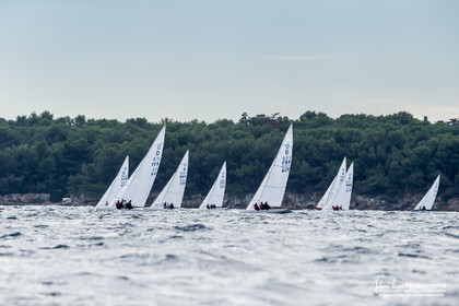 Armistice Cup Dragon 2022