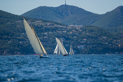 Régates Royales 2020